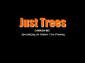 Just Trees Canada Inc. image 4