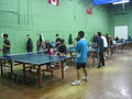 My Tables Tennis Club Mississauga logo