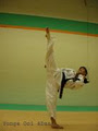Ooi's Taekwondo image 4