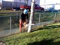 PIONEER Tree Removal image 3