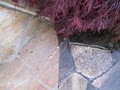 P.S.I. Factor Power Washing image 4