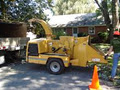 Simcoe Muskoka Tree Services image 2
