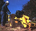 Simcoe Muskoka Tree Services image 6