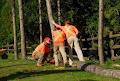 Stiles Tree Service Inc image 2