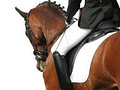 Sundance Saddlery Inc image 1