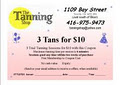 Tanning Shop logo