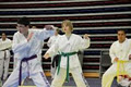 Therapeutic Martial Arts International image 5
