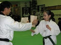 Therapeutic Martial Arts International image 1