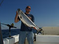 Tight Lines Fishing Charters image 6