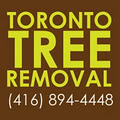 Toronto Tree Removal image 2