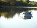 Trout Unlimited-Prince County Chapter image 1