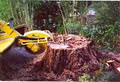 URBAN LUMBERJACK TREE SERVICE image 5