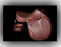Vision Saddlery image 5