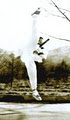 WSM Sohn's Agape Taekwondo logo