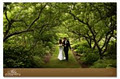 Abby Photography - Kelowna Wedding Photographers image 1