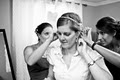 Adelita Rose Photography, Prince Edward County Wedding Photographer image 4