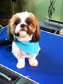 BooBoo Pet Grooming Services image 4