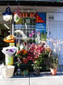 Chester Variety at Greek Town (Flowers) image 5