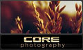 Core Web Media image 4