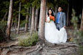 Diane Scaman | Calgary Wedding Photography image 4