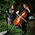 Duo d'Amore-string duos, trios and quartets for weddings and elegant events image 2