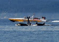 Experience Sooke - Whale Watching & Marine Wildlife Tours image 6