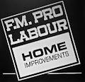 F.M. Pro Labour image 1