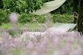 Happy Valley Lavender & Herbs image 5
