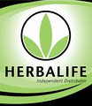 Herbalife- Independent Distributor image 6