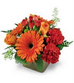 Hillcrest Florist image 3