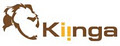 KIINGA Web Design and Development image 2