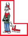 Little Llama Video Productions image 1
