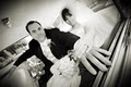 Montreal Wedding Photographers - Arte Studio image 6