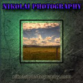 Nikolai Photography logo