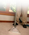 Oakville Water Damage Area Rug Upholstery Carpet Cleaning image 4