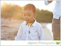Organic Photography logo