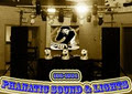 Phanatic Sound & Lights logo