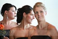 Phillipa Maitland - Ottawa Wedding Photographer image 4