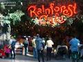 Rainforest Cafe image 6