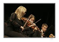 Violin Lessons - Studio of Karina Slupski in Surrey BC logo