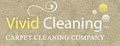 Vivid Cleaning logo