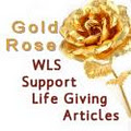 WLS Support logo
