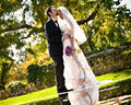Wedding Photography Hamilton, Engagement Photographer, Baby Photo's, Corporate image 5