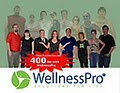 WellnessPro image 3