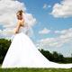 White Orchid Wedding Consulting image 3