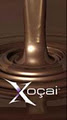 Xocai - Healthy Chocolate and Xe Healthy Energy Drink logo