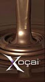 Xocai - Healthy Chocolate and Xe Healthy Energy Drink image 1