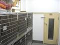 Yorkville Animal Hospital image 5