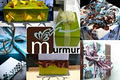 murmur image 4