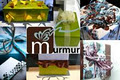 murmur image 4